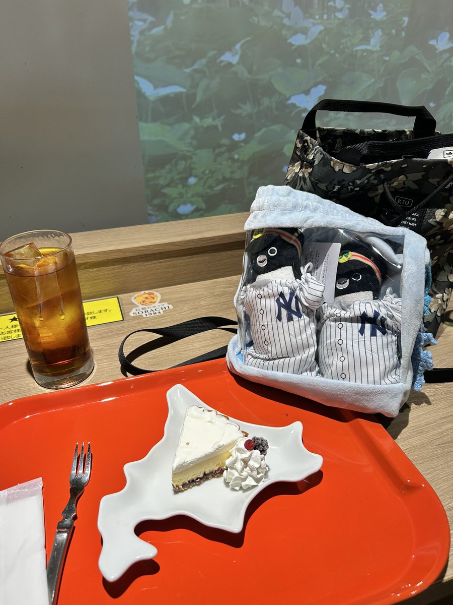 ひろこんぐ✈ tweet media