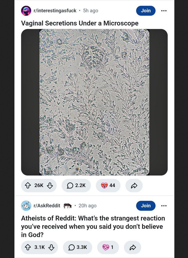 Reddit Lies tweet media