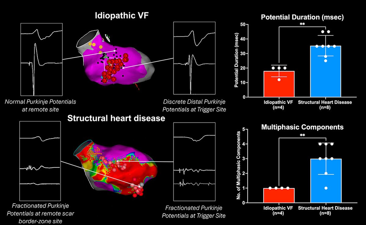 HeartRhythm tweet media