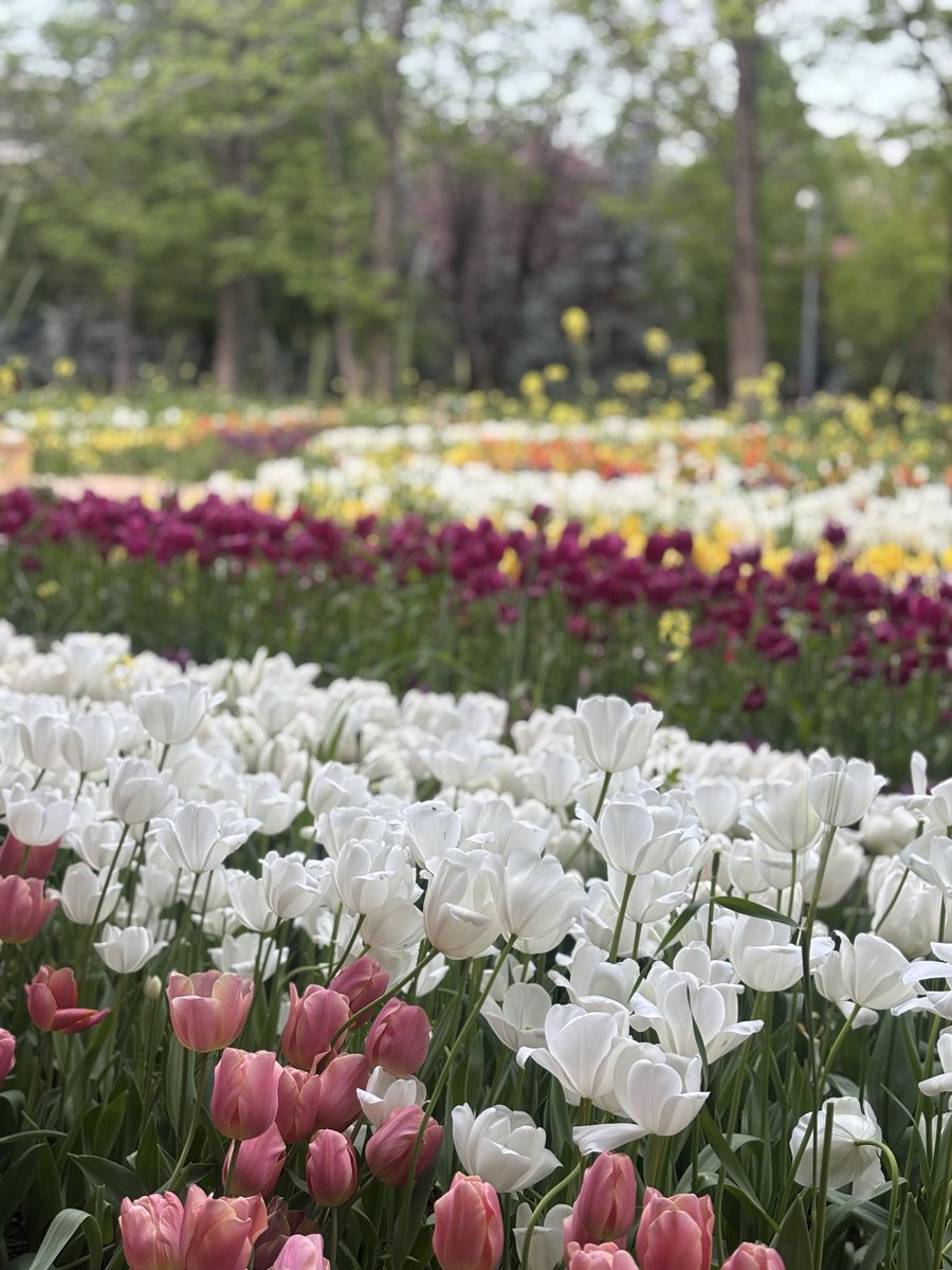 zehraa463's tweet photo. Gönülden kameraya düşenler 🌷✨ https://t.co/FdNB81kXzl