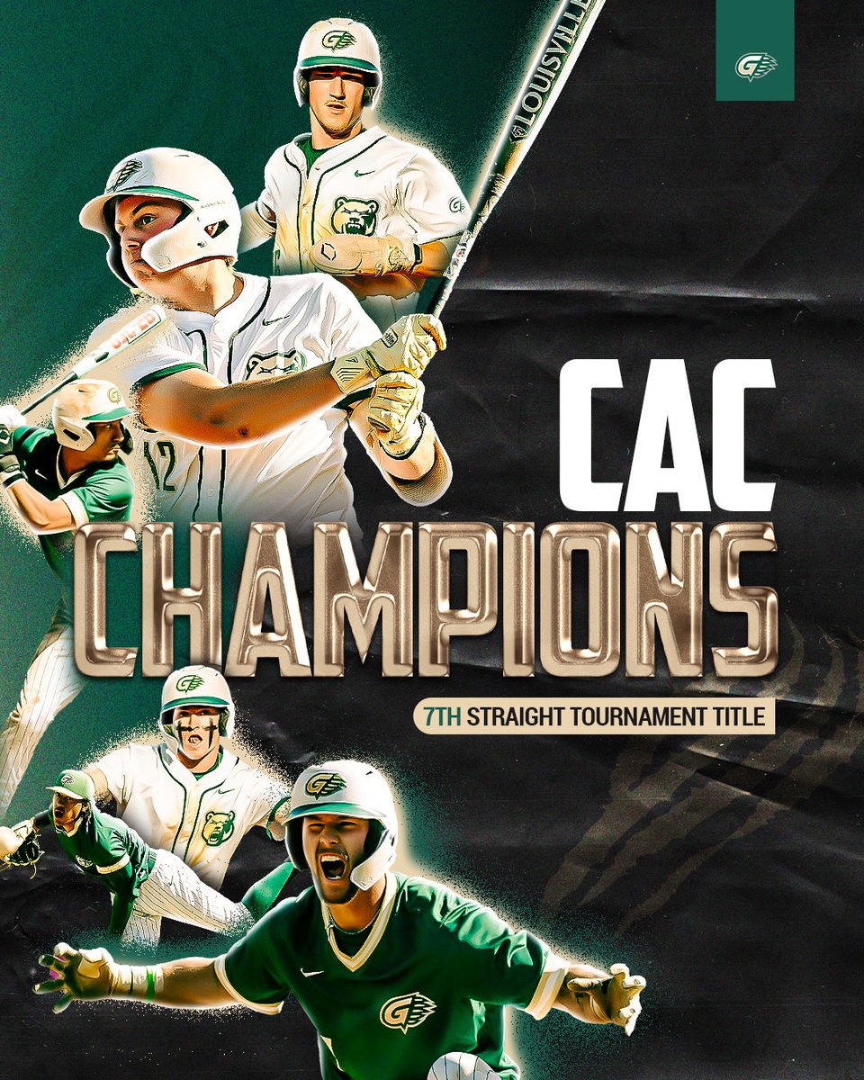 GGC Baseball tweet media
