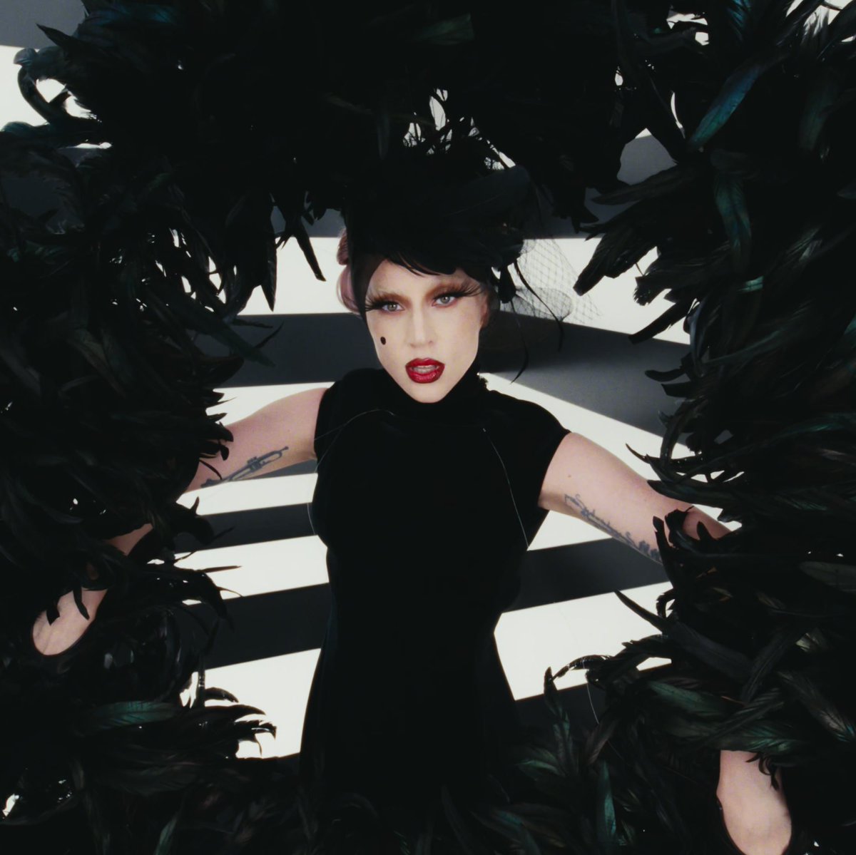 LadyGagaMonsterBlog tweet media