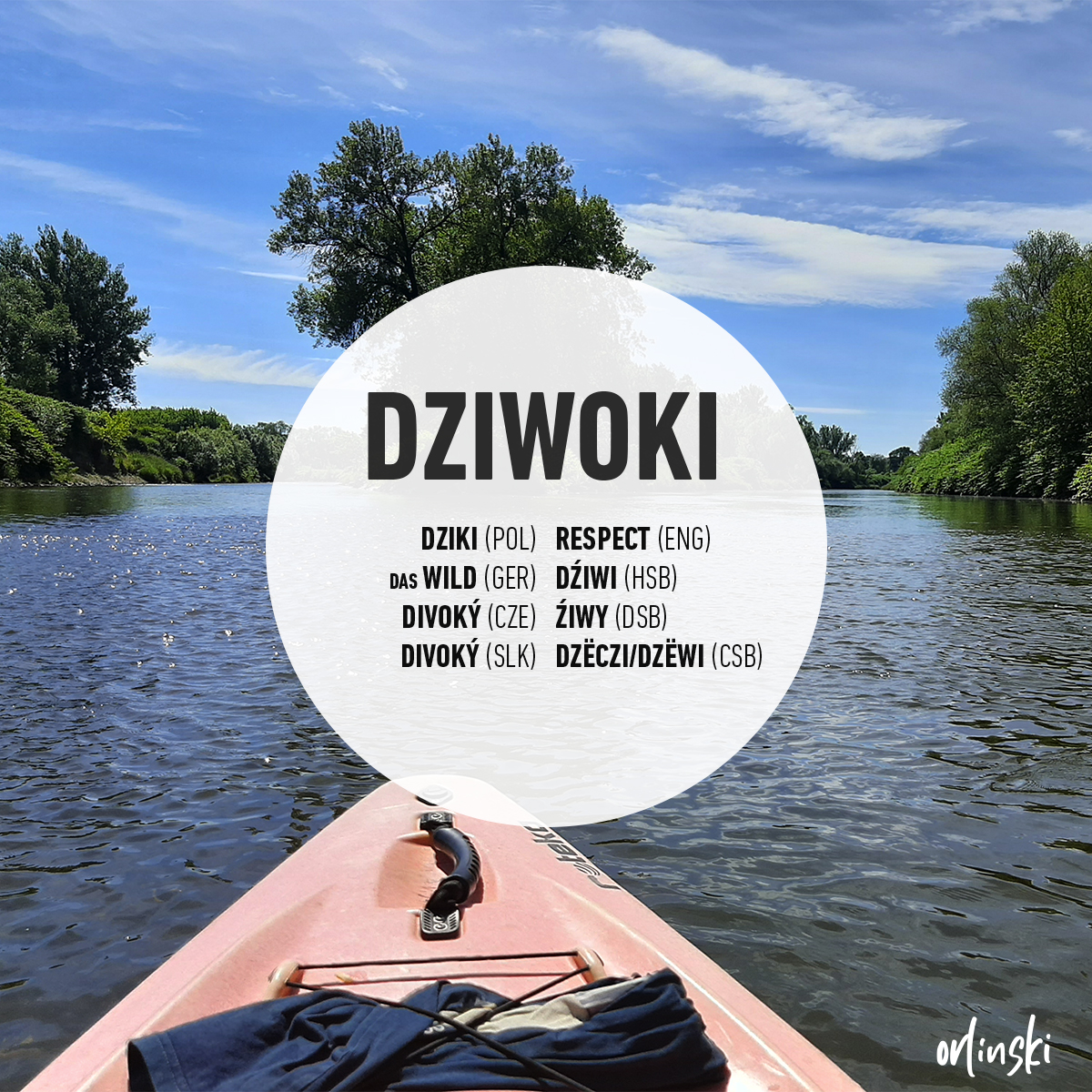 wojtekorlinski's tweet photo. Piōntek ze godkōm
Dziwoki – dziki (pol.); das Wld (ger.); divoký (cze.); wild (eng.)
Dziwoko prziroda niy cygani, Beztōż mōm ku nij zoca.
PL: Dzika przyroda nie kłamie. Dlatego mam do niej szacunek.
#godka #piontekzgodkom #dykcjonorz
Tukej ôdmiana:
https://t.co/Kj9DZSD0wR https://t.co/S8HNUAOC2Z