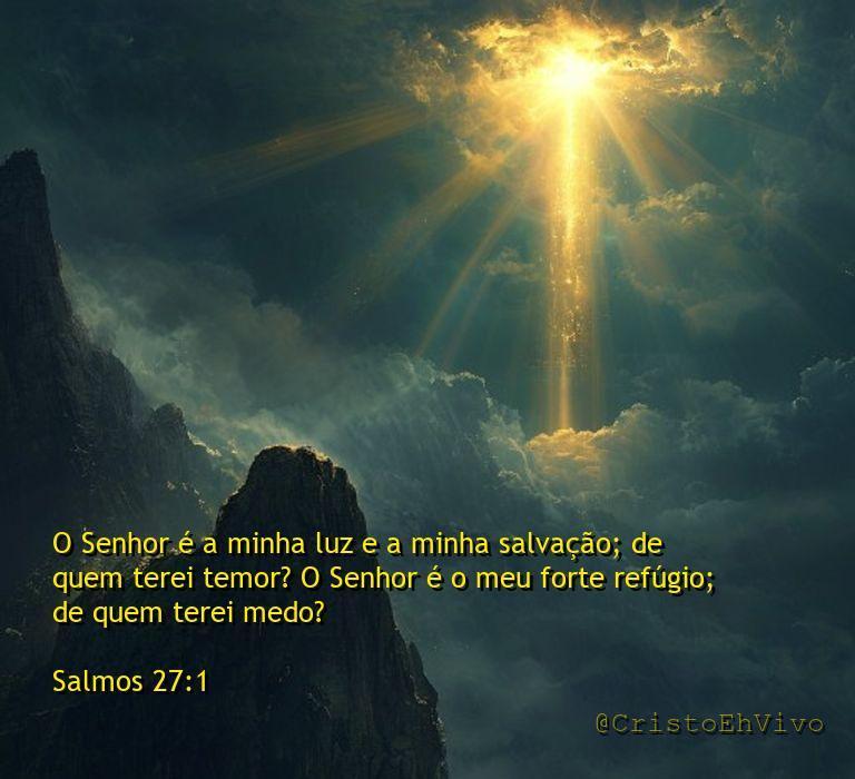 Cristoehvivo's tweet image. O Senhor é minha luz e refúgio (Sl 27:1). Se o Criador é meu segurança, por que trato boleto como se fosse o Apocalipse? Ter proteção divina e ainda ter crise de ansiedade é meu talento especial. O medo não faz sentido, mas o drama sim. #Fé #Sarcasmo