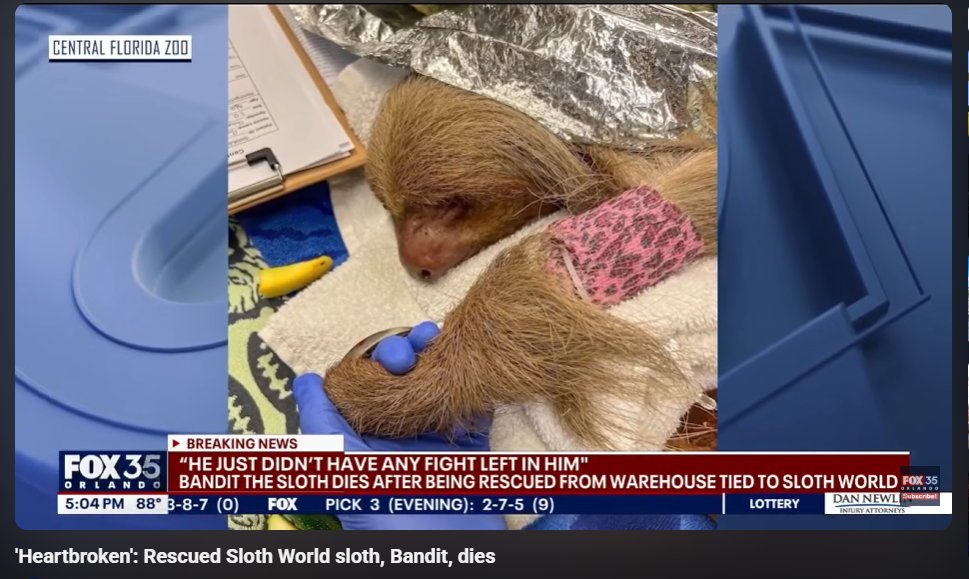 esoteric monkey tweet media