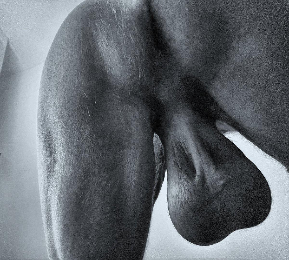 PumpedUpBulge tweet media