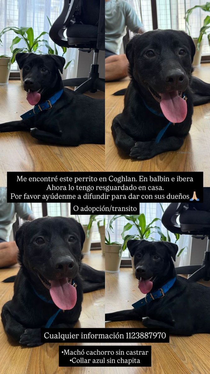 Rt
Difundimos