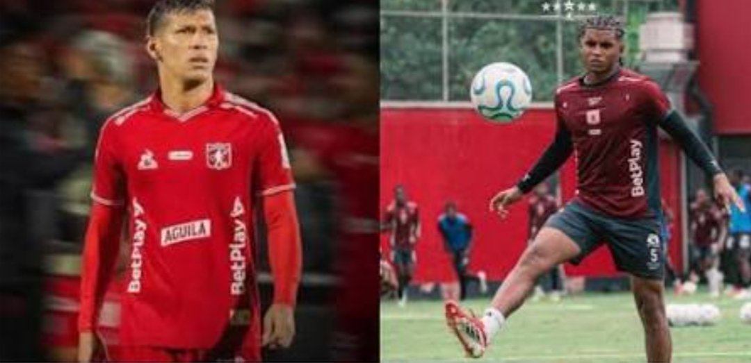 Este par de hijueputas son los que más balones pierden en salida y dejan mal parado al equipo. Aunque tienen un poco de viudas que dicen que son perfectos y nunca cometen errores y se ofenden cuando uno lo dice. Los tienen endiosados y ellos se la creen.