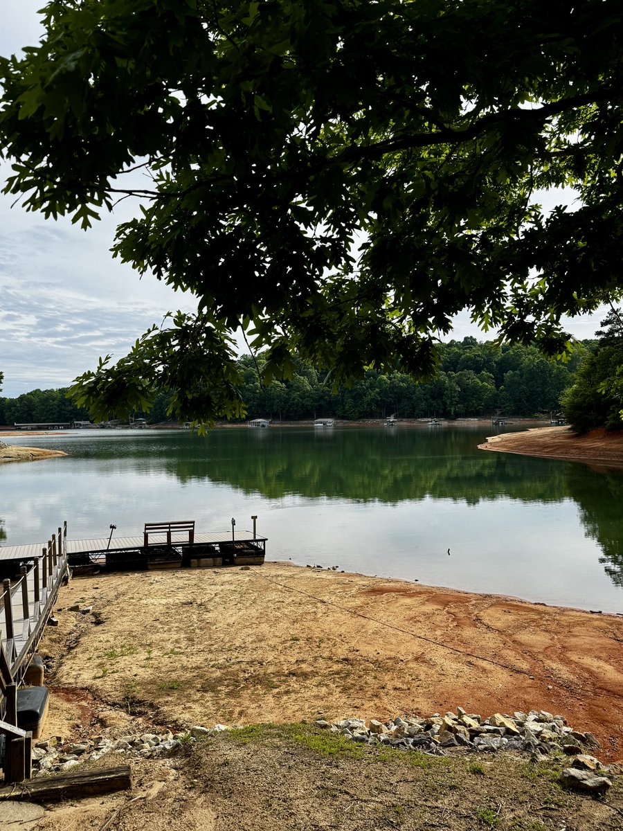krezae's tweet image. Would you go camping here? 🐟🚐🇺🇸
📍Lake Hartwell, SC | GA
#livinganywhere #roadtrip