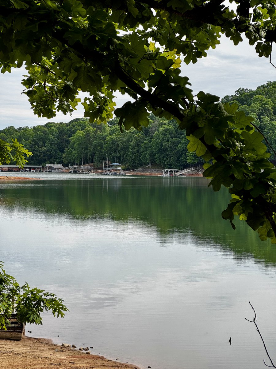krezae's tweet image. Would you go camping here? 🐟🚐🇺🇸
📍Lake Hartwell, SC | GA
#livinganywhere #roadtrip