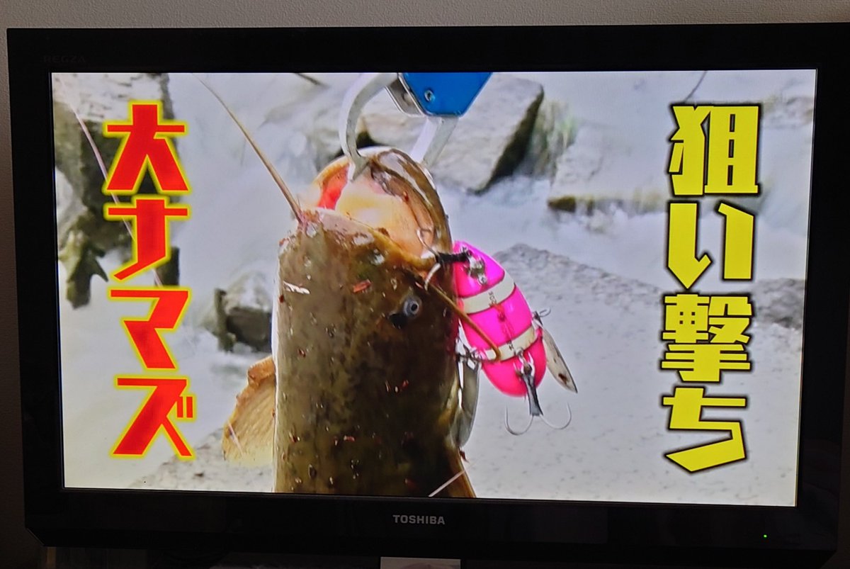 みやっこちゃん tweet media