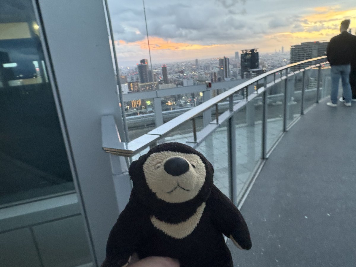 昨日は空中庭園にも行ったのだ！
サンセットが綺麗だったのだ！
ライブ遠征時には行けない時間帯なのだ！