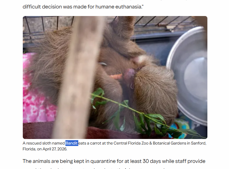 esoteric monkey tweet media