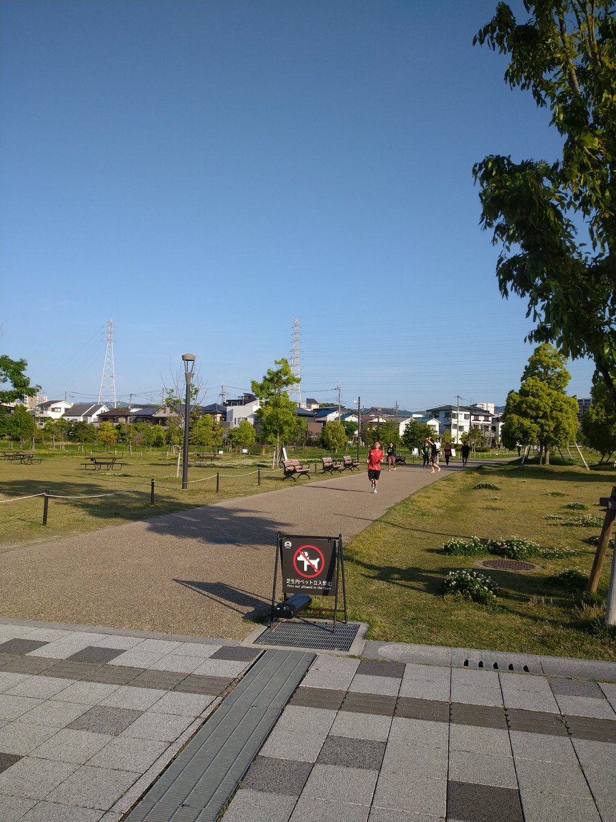 裸足のマミ tweet media