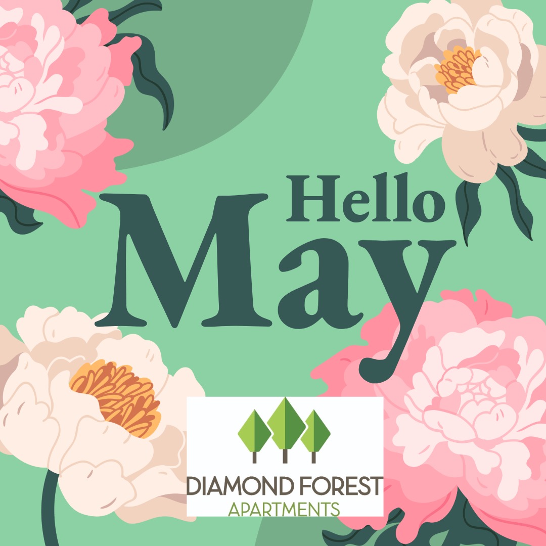 DiamondForestMI's tweet image. Hello, May 🌼 #May1st #NewMonthNewGoals #HelloMay #diamondforestapartments #hayman #community #apartmentliving #lovewhereyoulive #farmingtonhills #michigan #home