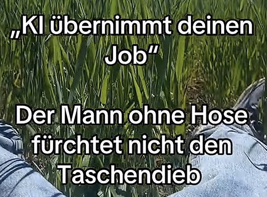 Diyar Duschbier☀️🇩🇪 tweet media