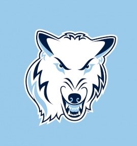 Legacy Football Organization tweet media