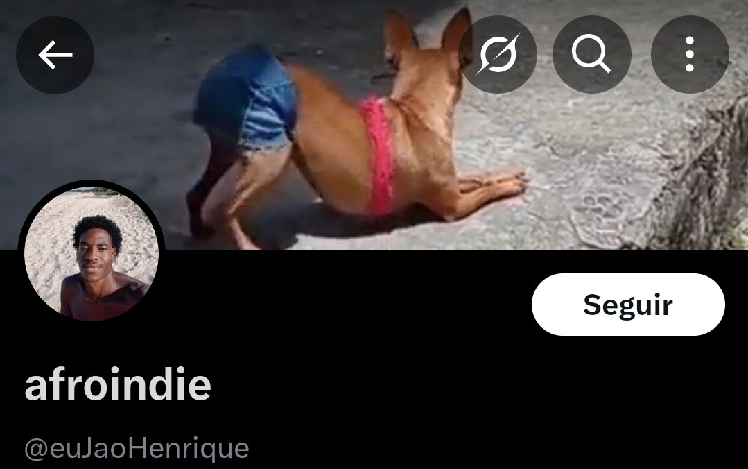 Coruja 🇵🇹🇮🇹 tweet media