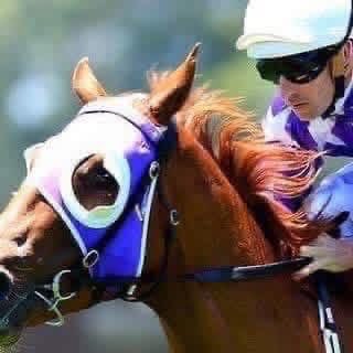 CoachBobStarkey's tweet image. Race horses wear blinders to shield the opposition -- so they can only concentrate on their race.

#focus
#concentration
#process