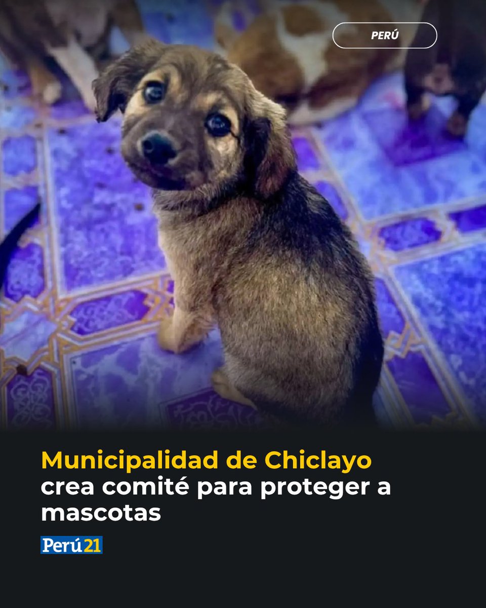 Perú21 tweet media