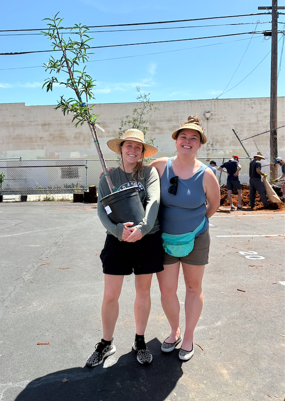 CaliforniaIPL's tweet photo. For #EarthDay faith communities are caring for both people &amp; creation 🧑‍🤝‍🧑🌿

Through the Our Sacred Canopy program, Mid-City Church in #SanDiego distributed 221 trees across their neighborhood—blessing 95 families with greater access to shade, fresh fruit &amp; the beauty of nature. https://t.co/FbeoHGQ8qJ