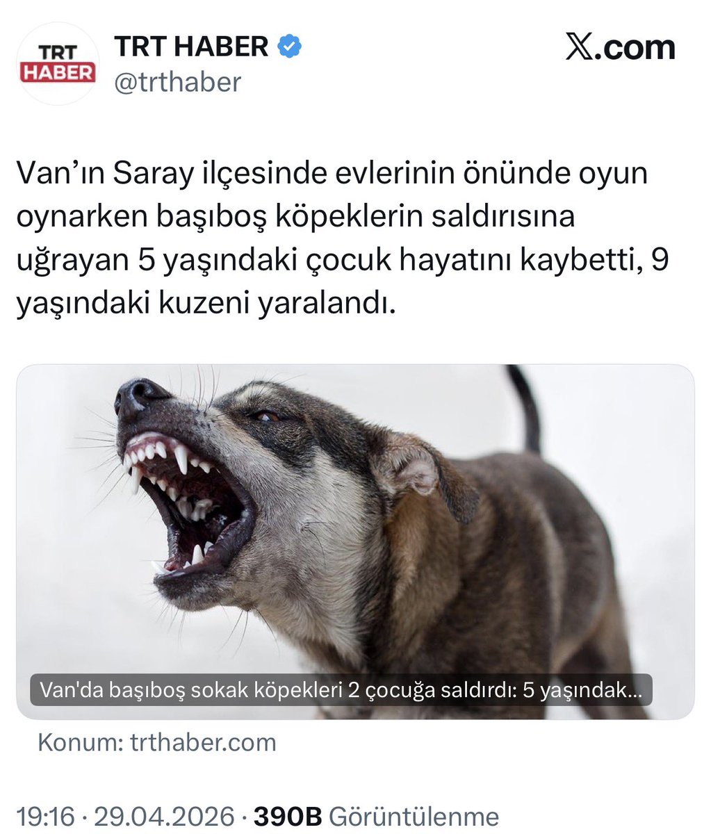 Gürkan Günebakan tweet media