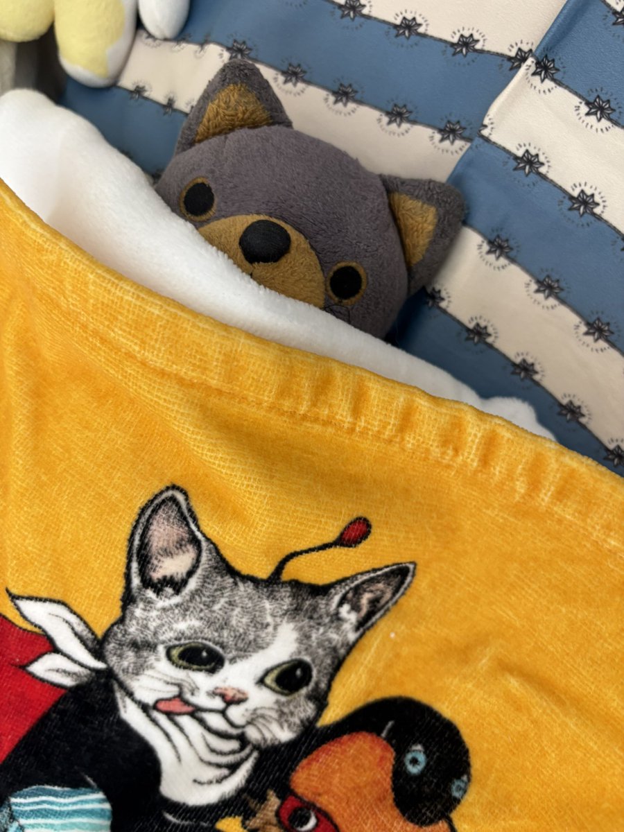 ずっと皆勤賞だったのに、
家に置き去りにされたネコ😭