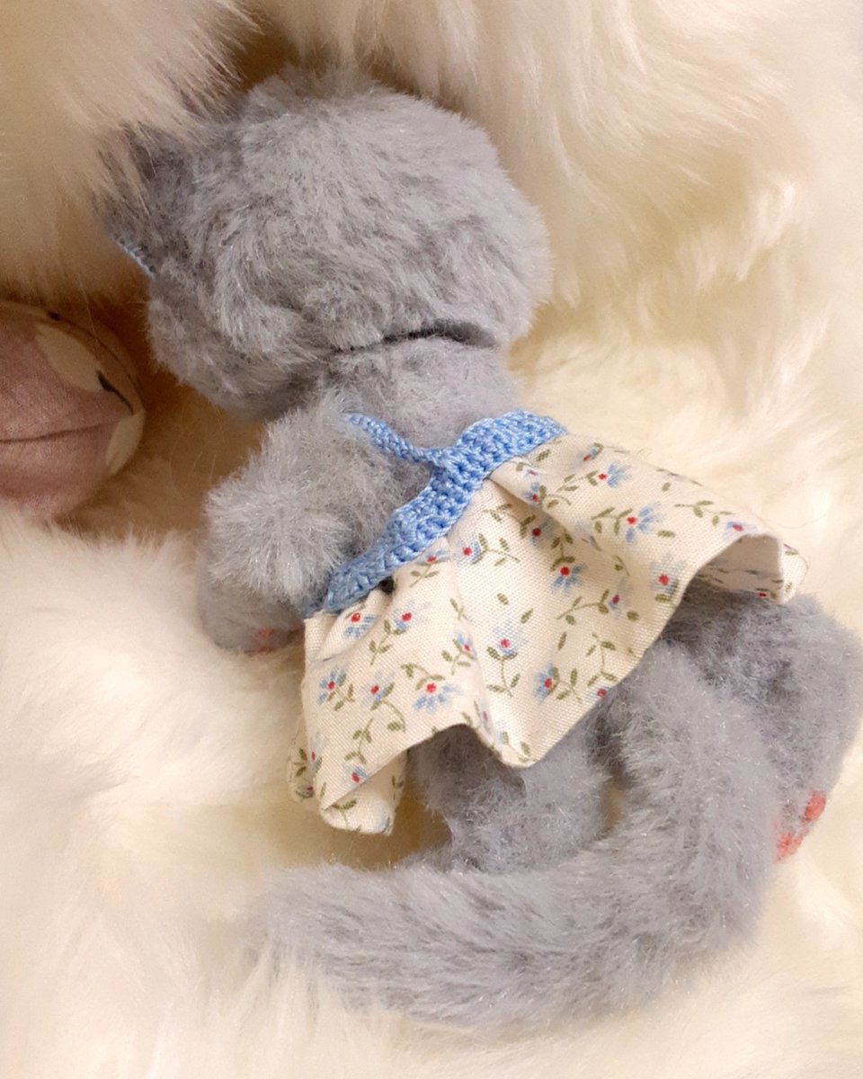 たぶん、ねこ tweet media