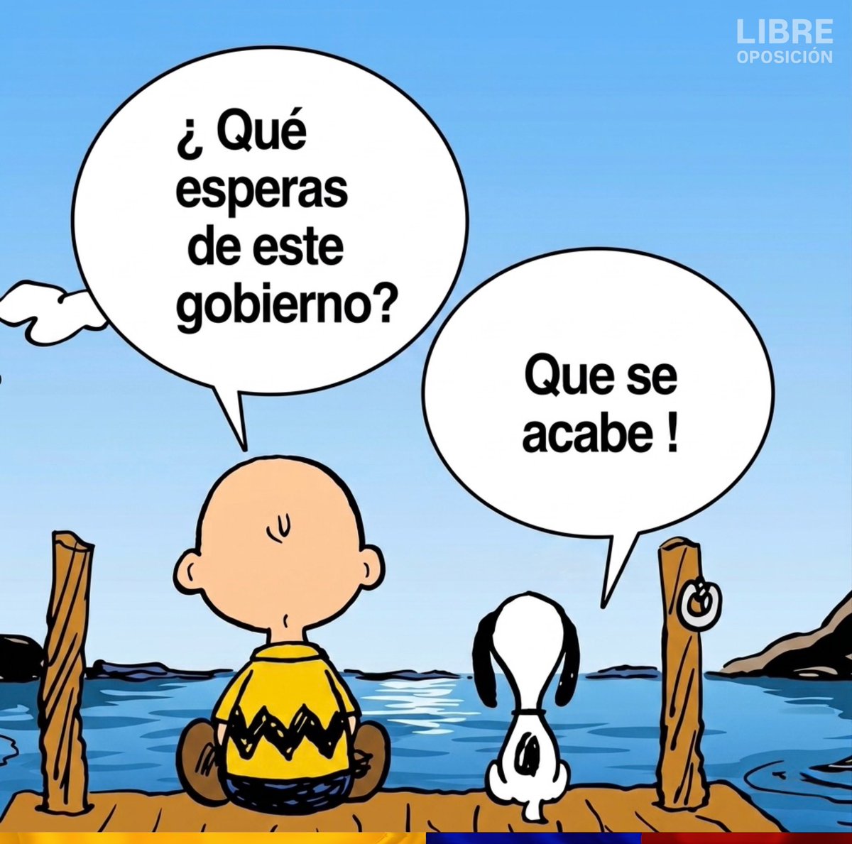 Libre Oposición tweet media