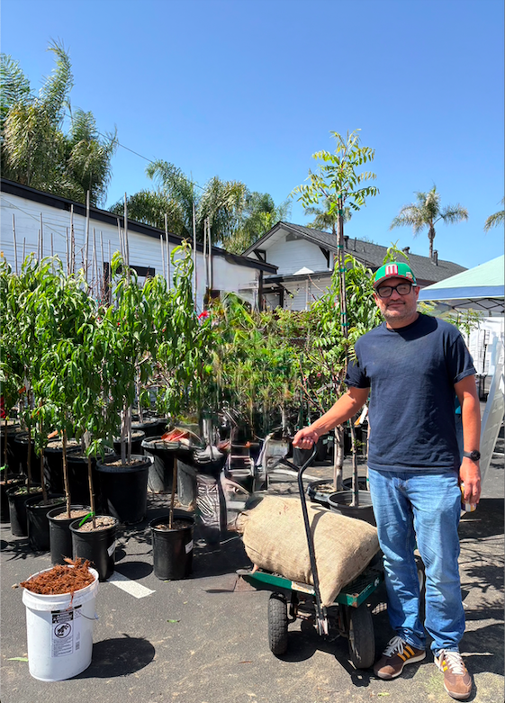 CaliforniaIPL's tweet photo. For #EarthDay faith communities are caring for both people &amp; creation 🧑‍🤝‍🧑🌿

Through the Our Sacred Canopy program, Mid-City Church in #SanDiego distributed 221 trees across their neighborhood—blessing 95 families with greater access to shade, fresh fruit &amp; the beauty of nature. https://t.co/FbeoHGQ8qJ