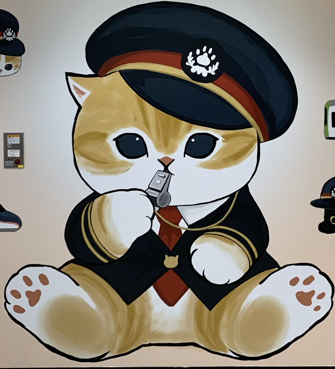 藤桃花 tweet media