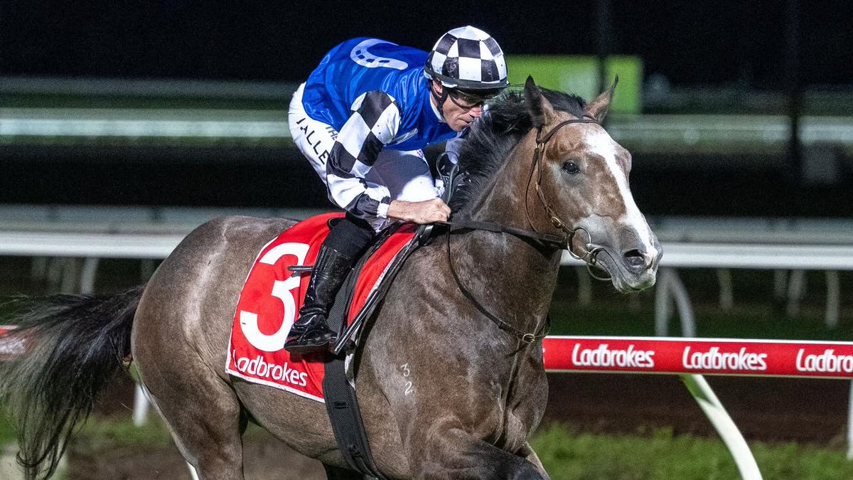 Racingthreadau's tweet photo. Well scratchings have closed in Adelaide and the race favourite and first emergency for the South Australian Derby Accidental bid has been left stranded. Not a single horse in the 16 horse field has scratched meaning the emergency will not line up 🤯 https://t.co/SaKmlwdLAZ