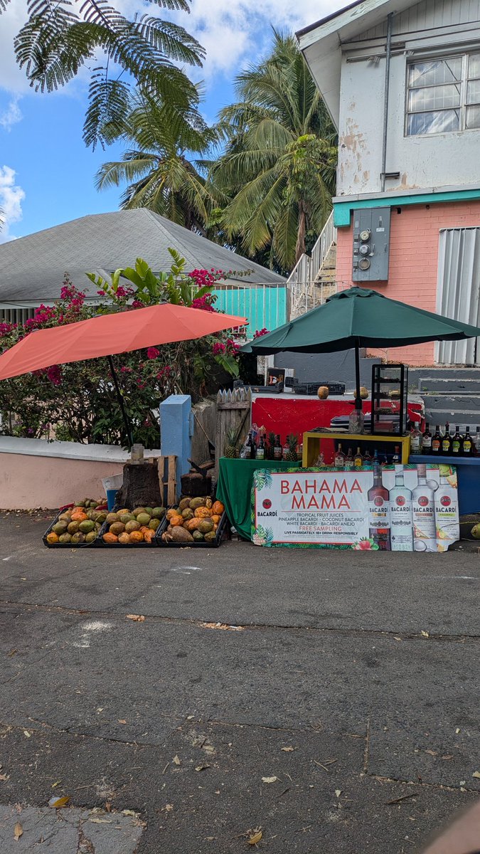 MagdalenaSzomb1's tweet image. Just blocks away from Nassau’s luxury resorts, a different world begins. "Over-the-Hill" is where the tourist paradise gives way to a raw, everyday struggle.
#Nassau #Bahamas #TheRealBahamas #Contrast