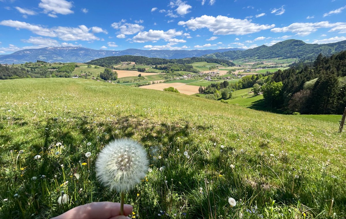 sanneweber's tweet image. Walking into #spring. 🥾⛰️
#home #traditions #May #hike   #Granitztal #Carinthia
