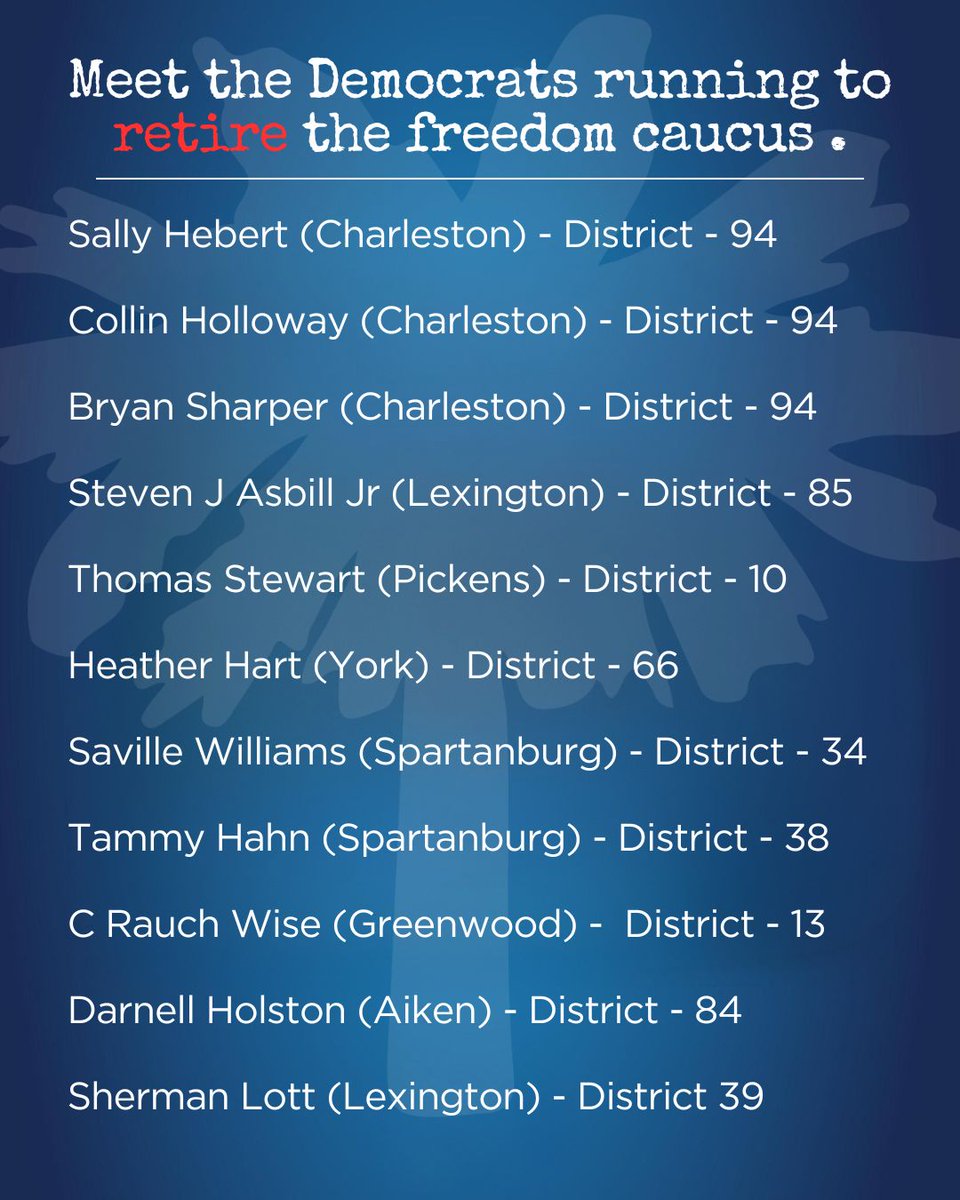 South Carolina Democratic Party tweet media