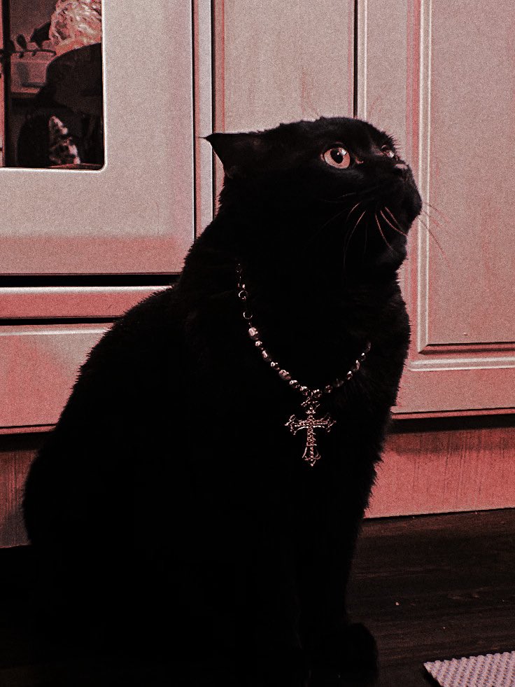 𝕊𝚃𝚁𝙰𝙵𝙵𝙾𝚁𝙳, 𝙷𝙴𝙻𝙴𝙽𝙰 tweet media