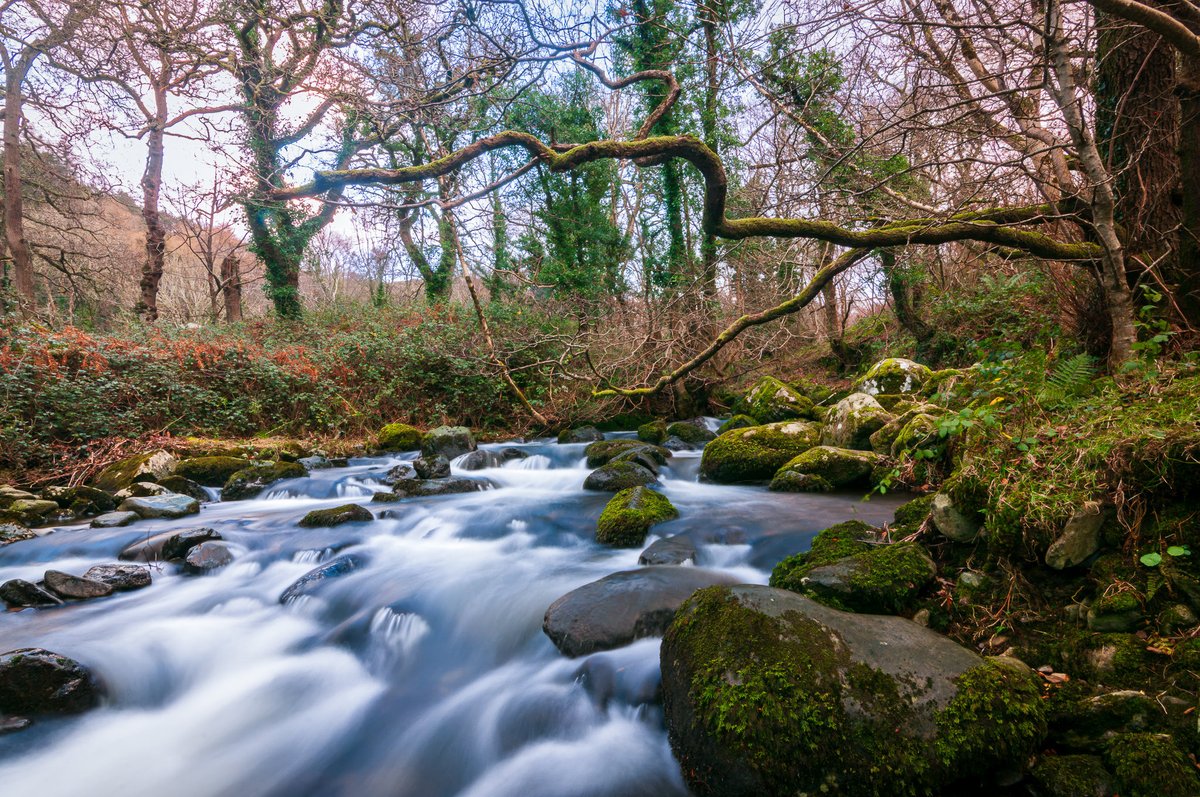 MElmousili's tweet image. Post on-call photography trip.
Nothing better than the sound of flowing water and soft sunset light through the trees after a long shift.  #Hiking #NaturePhotography #LandscapePhotography