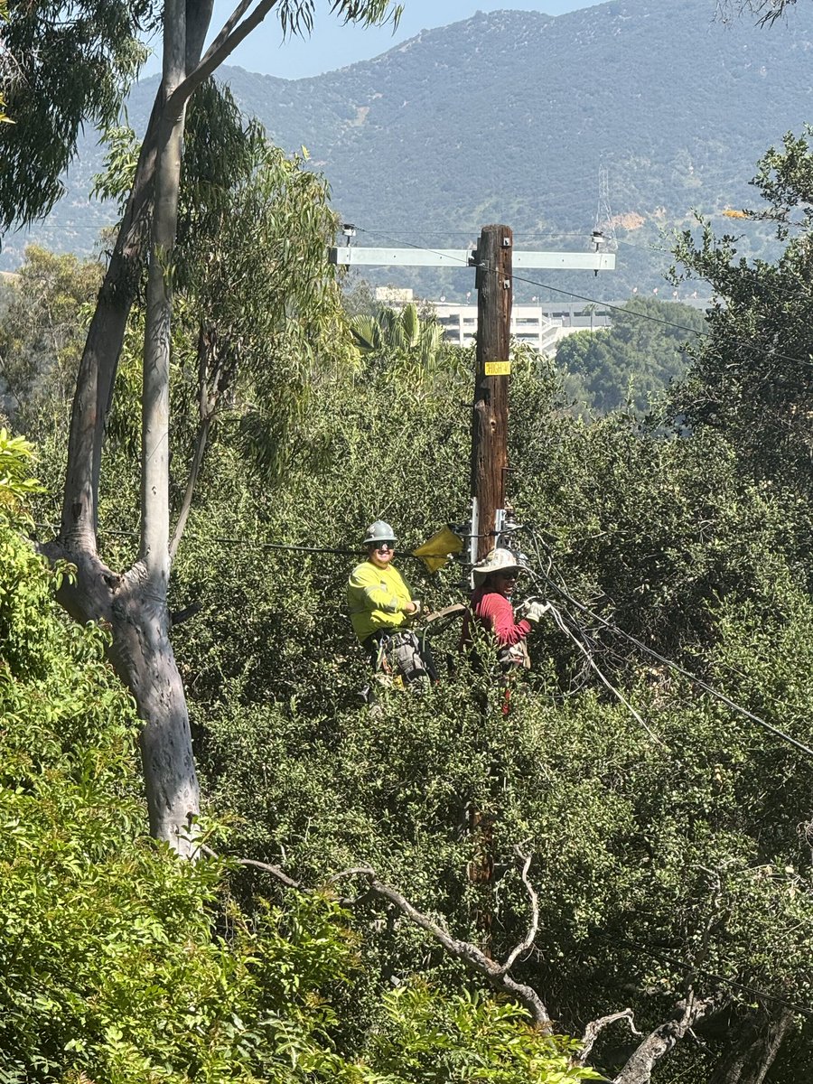 47Ibew's tweet image. Alvah crew getting it done 💪⚡️

Working on a secondary pole on DWP property, keeping the job moving safely and efficiently every step of the way.

Appreciate the crew’s focus, teamwork, and commitment out in the field 👏

#SafetyFirst #LineWork #TeamEffort #OnTheJob #ibew47