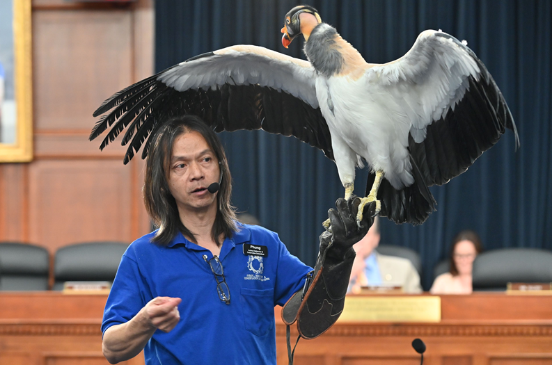 House Appropriations tweet media