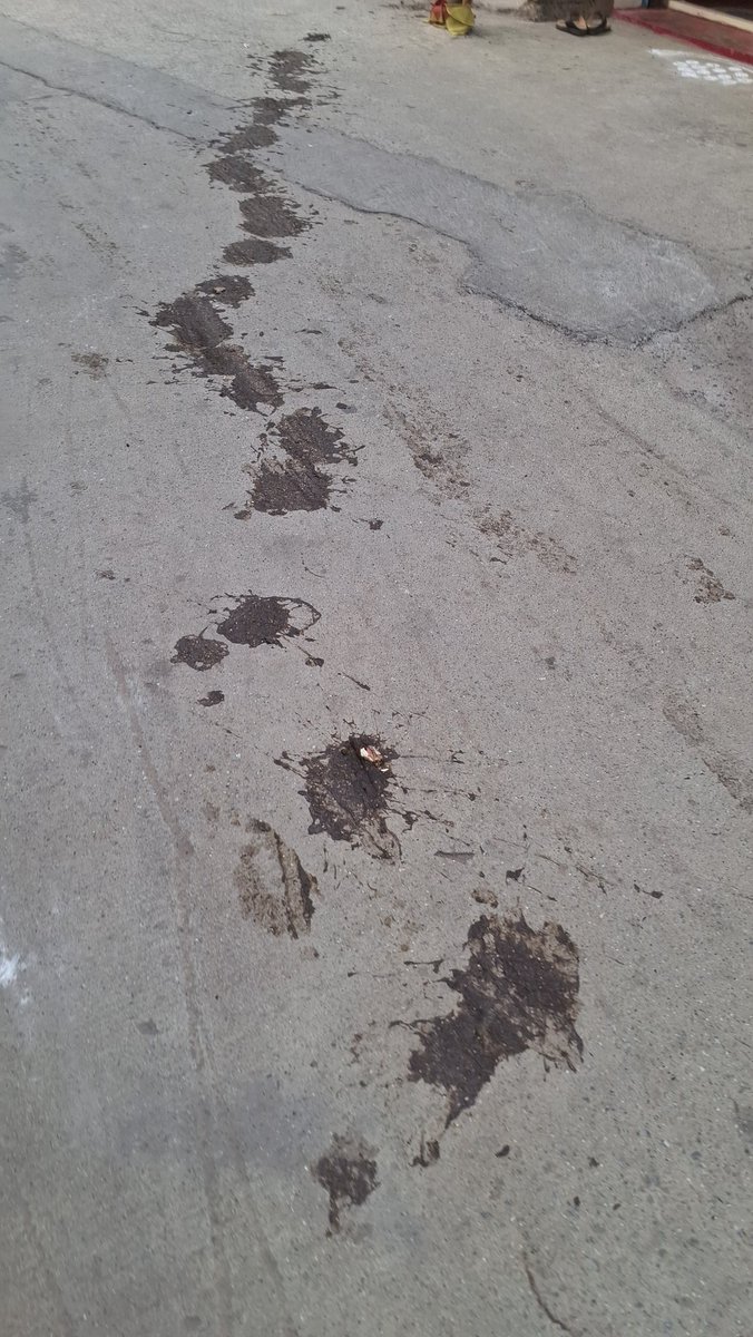 samkesana's tweet image. The roads near Marathahalli Metro are a total hygiene nightmare! 💩 

The stretch is covered in bull shit/ dung, creating an unbearable stench and a disgusting walk for commuters. 

Free roaming of cows on roads.

@BBMPSWMSplComm
@BBMPCOMM #Marathahalli #Bengaluru #CivicIssue