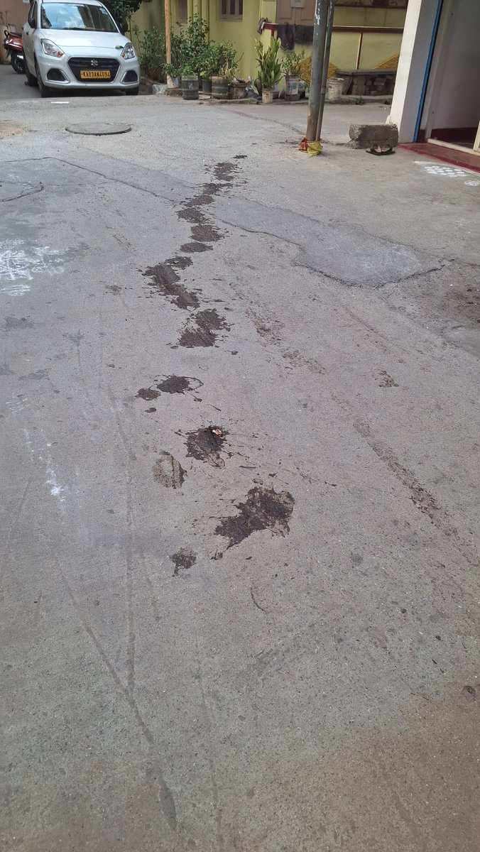 samkesana's tweet image. The roads near Marathahalli Metro are a total hygiene nightmare! 💩 

The stretch is covered in bull shit/ dung, creating an unbearable stench and a disgusting walk for commuters. 

Free roaming of cows on roads.

@BBMPSWMSplComm
@BBMPCOMM #Marathahalli #Bengaluru #CivicIssue