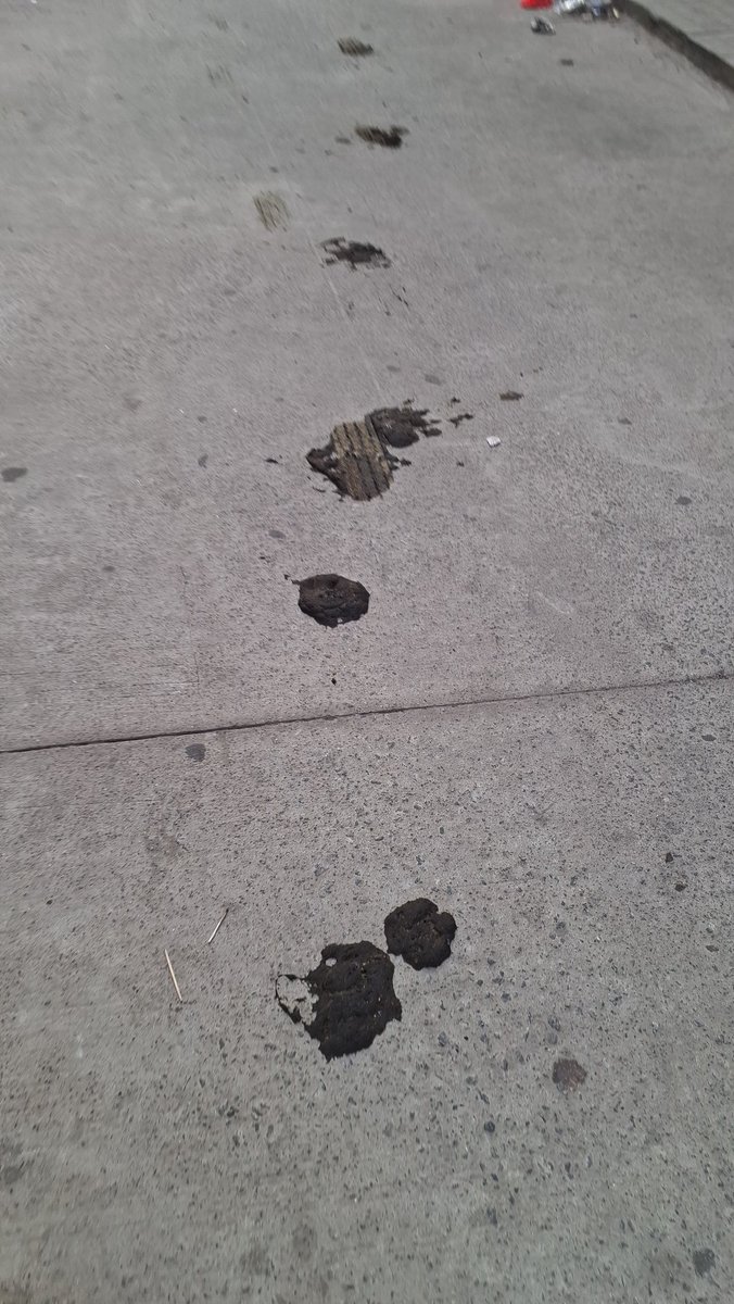 samkesana's tweet image. The roads near Marathahalli Metro are a total hygiene nightmare! 💩 

The stretch is covered in bull shit/ dung, creating an unbearable stench and a disgusting walk for commuters. 

Free roaming of cows on roads.

@BBMPSWMSplComm
@BBMPCOMM #Marathahalli #Bengaluru #CivicIssue