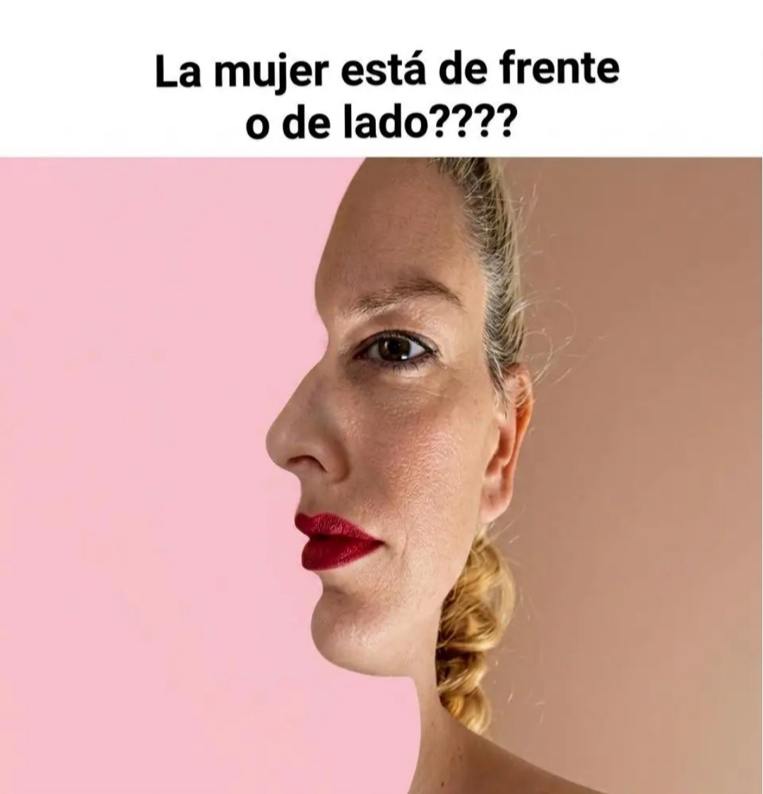 SandraQuiñones tweet media