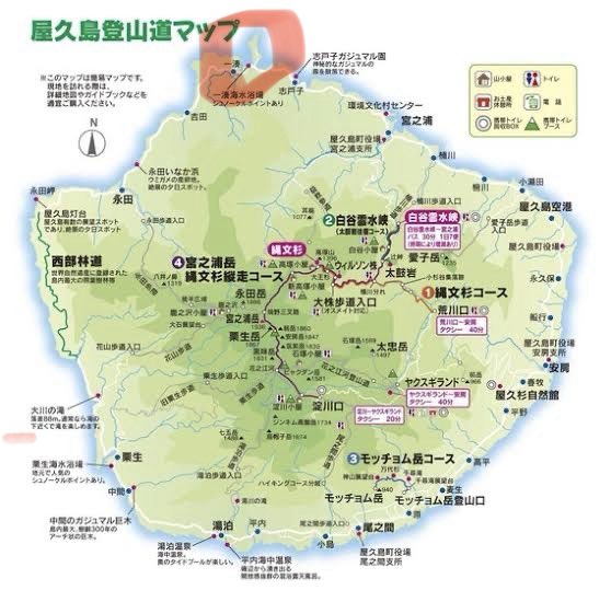 SK屋久エンジニア | （株） Saiteki 技術職 | AI駆動開発 tweet media