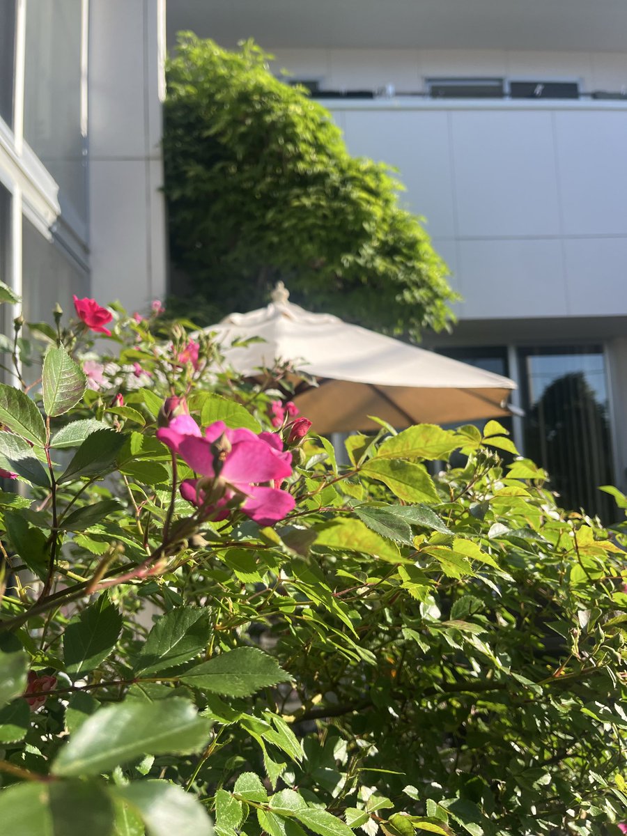 or1240's tweet photo. おはようございます☺️✨

今日も良い一日を🌈✨ https://t.co/oRn3Pg2nGV