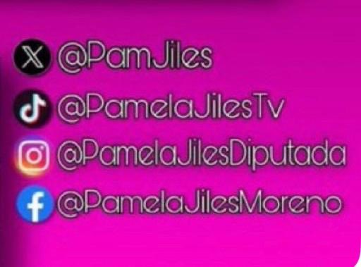 #PamelaJilesDiputada tweet media