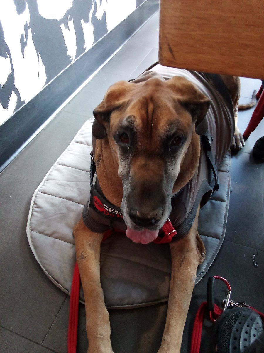 EverythingSven's tweet photo. Today I went with Momma &amp; Grammy to do some shopping and then we had lunch at #garconsuperslice pizzeria 🍕in Salem over on Derby St. Everyone is so nice, our waitress brought me fresh water &amp; I posed for some pictures with few people, it was a great Beltane Day. #everythingsven https://t.co/YDvhi40ao3