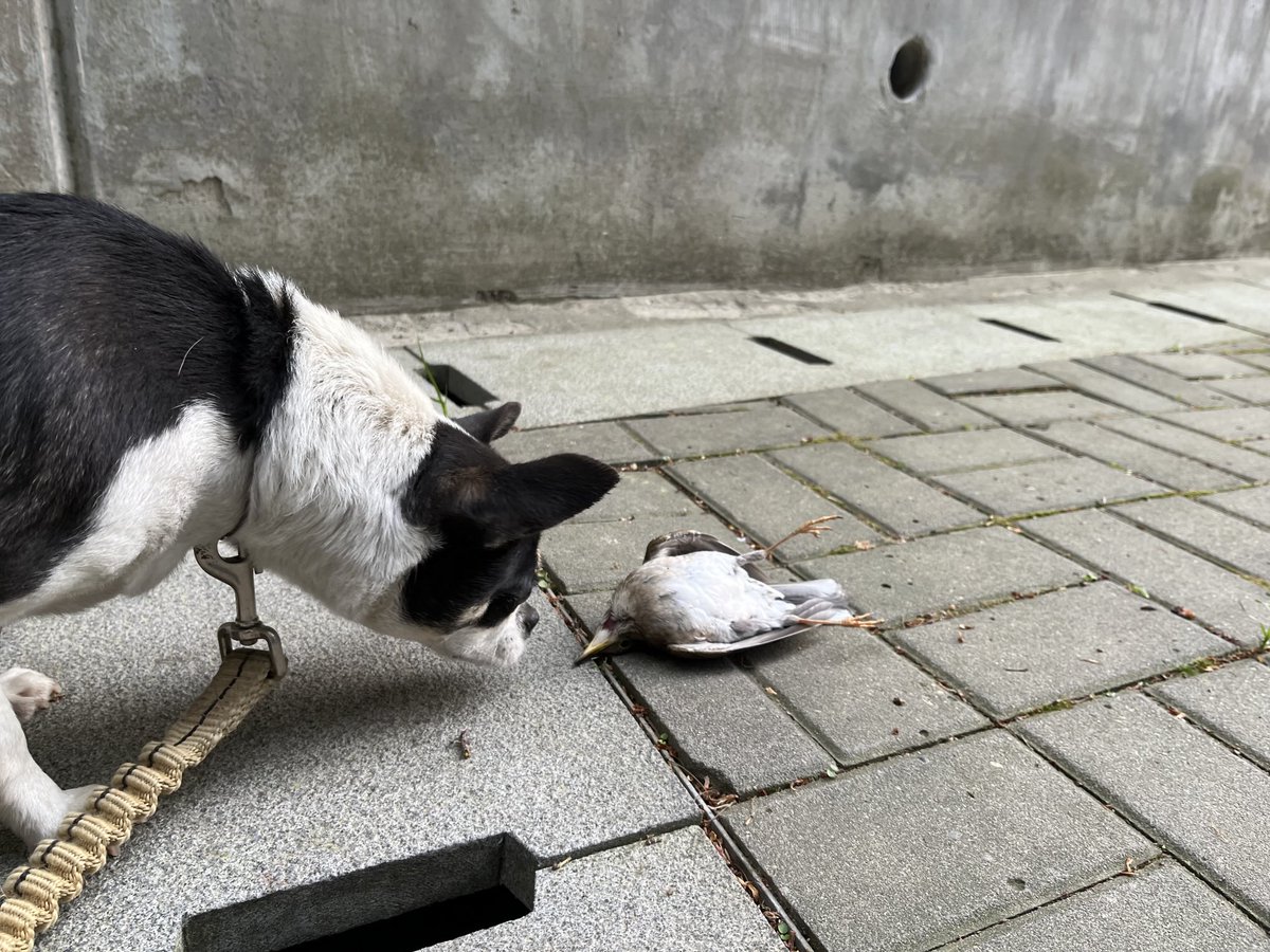 연 tweet media