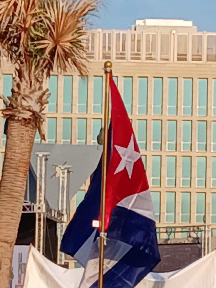 Colibrí tweet media