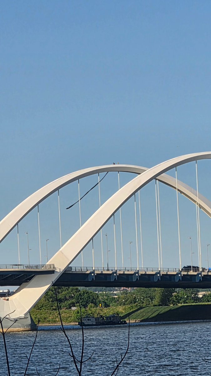 Protester on the Douglass Bridge